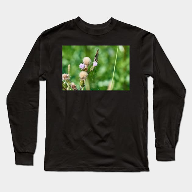 Thistle nectar Long Sleeve T-Shirt by mbangert